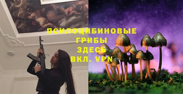 сатива Абдулино