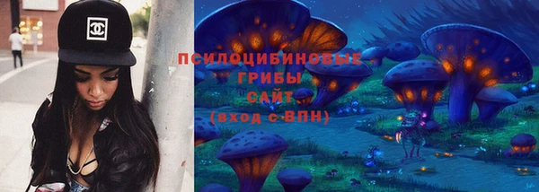 бошки Абаза