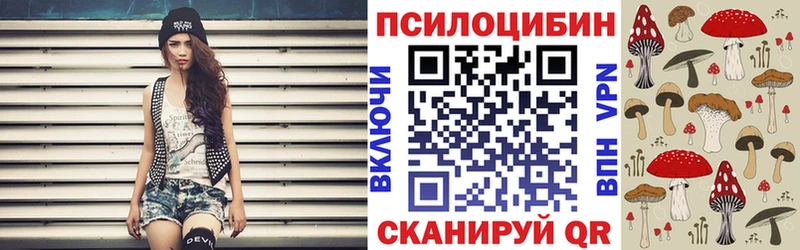 hydra tor  Удомля  Псилоцибиновые грибы ЛСД  даркнет сайт 