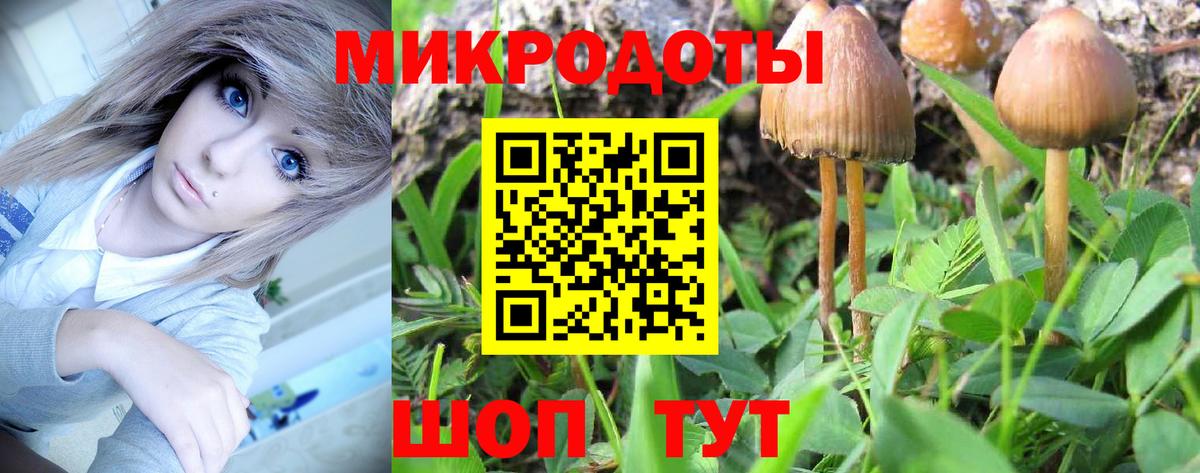 Псилоцибиновые грибы Magic Shrooms  Вход с VPN  Псилоцибиновые грибы ЛСД  Удомля 